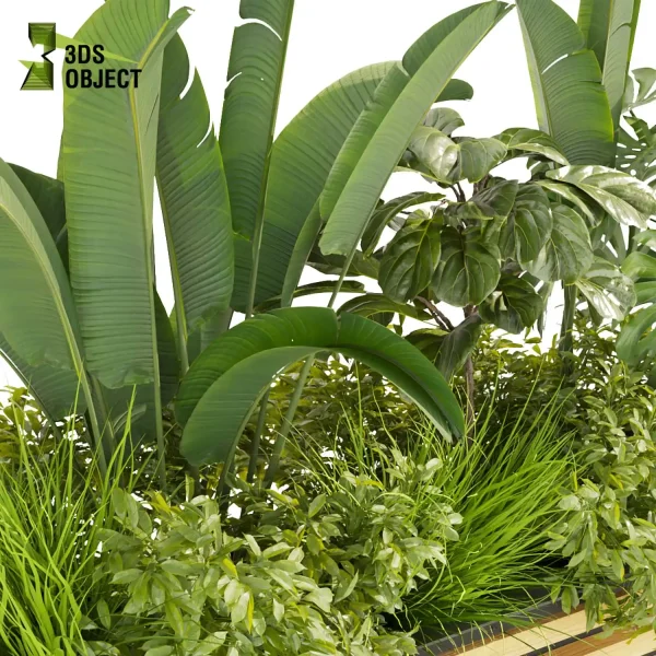 3d model plant free Vegetation tree box Foliage banana fiddle monstera bush grass Digital Landscaping 3D Plant Creation Virtual Garden Design Botanical Simulation Plant Visualization Vegetation Modeling cinema 4d 3ds max blender enscape fbx obj Rhino Sketchup lumion