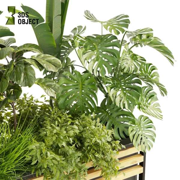 3d model plant free Vegetation tree box Foliage banana fiddle monstera bush grass Digital Landscaping 3D Plant Creation Virtual Garden Design Botanical Simulation Plant Visualization Vegetation Modeling cinema 4d 3ds max blender enscape fbx obj Rhino Sketchup lumion