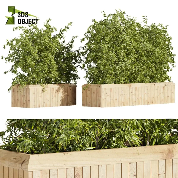 3d model plant free Vegetation tree box Foliage Bamboo 3d model plant free Vegetation tree box Foliage Vegetation Assets Foliage Generator Plant Rendering 3D Flora Lush Environment Greenery Generator Botanical Rendering Nature Simulation Plant Modeling Software planter pot greenhouse balcony decorative hamedorea indoor bush houseplant 3D architectural visualization cinema 4d 3ds max blender enscape fbx obj Rhino Sketchup lumion