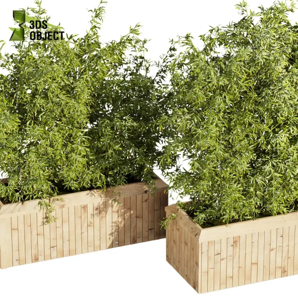 3d model plant free Vegetation tree box Foliage Bamboo 3d model plant free Vegetation tree box Foliage Vegetation Assets Foliage Generator Plant Rendering 3D Flora Lush Environment Greenery Generator Botanical Rendering Nature Simulation Plant Modeling Software planter pot greenhouse balcony decorative hamedorea indoor bush houseplant 3D architectural visualization cinema 4d 3ds max blender enscape fbx obj Rhino Sketchup lumion