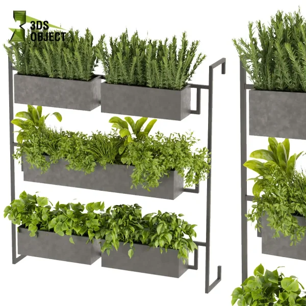 3d model plant free Vegetation tree box Foliage rosemary pothos banana grass bush Forest Simulation 3D Tree Generator Landscape Design Software Foliage Rendering Digital Landscaping 3D Plant Creation Virtual Garden Design cinema 4d 3ds max blender enscape fbx obj Rhino Sketchup lumion