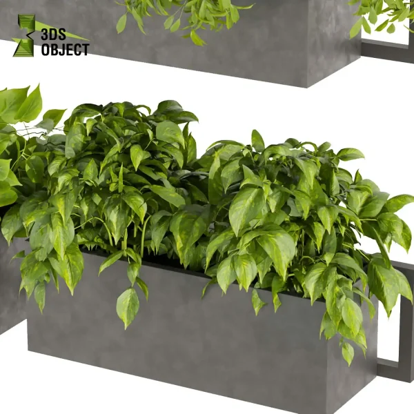 3d model plant free Vegetation tree box Foliage rosemary pothos banana grass bush Forest Simulation 3D Tree Generator Landscape Design Software Foliage Rendering Digital Landscaping 3D Plant Creation Virtual Garden Design cinema 4d 3ds max blender enscape fbx obj Rhino Sketchup lumion