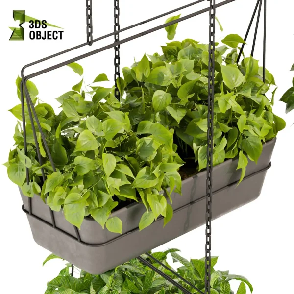3d model plant hanging free Botanical Models pothos devil's ivy Botanical Models Greenery Assets Vegetation Rendering cinema 4d 3ds max blender enscape fbx obj Rhino Sketchup lumion