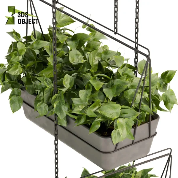 3d model plant hanging free Botanical Models pothos devil's ivy Botanical Models Greenery Assets Vegetation Rendering cinema 4d 3ds max blender enscape fbx obj Rhino Sketchup lumion