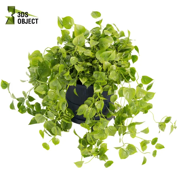 3d model plant hanging free Botanical Models pothos devils ivy planter cinema 4d 3ds max blender enscape fbx obj Rhino Sketchup lumion 3D architectural visualization Design Software low poly purchase