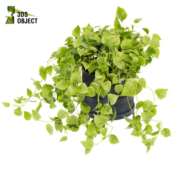 3d model plant hanging free Botanical Models pothos devils ivy planter cinema 4d 3ds max blender enscape fbx obj Rhino Sketchup lumion 3D architectural visualization Design Software low poly purchase