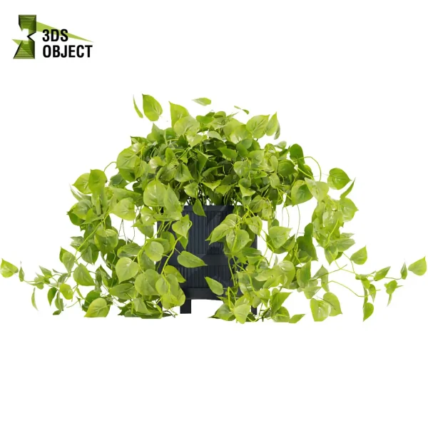 3d model plant hanging free Botanical Models pothos devils ivy planter cinema 4d 3ds max blender enscape fbx obj Rhino Sketchup lumion 3D architectural visualization Design Software low poly purchase