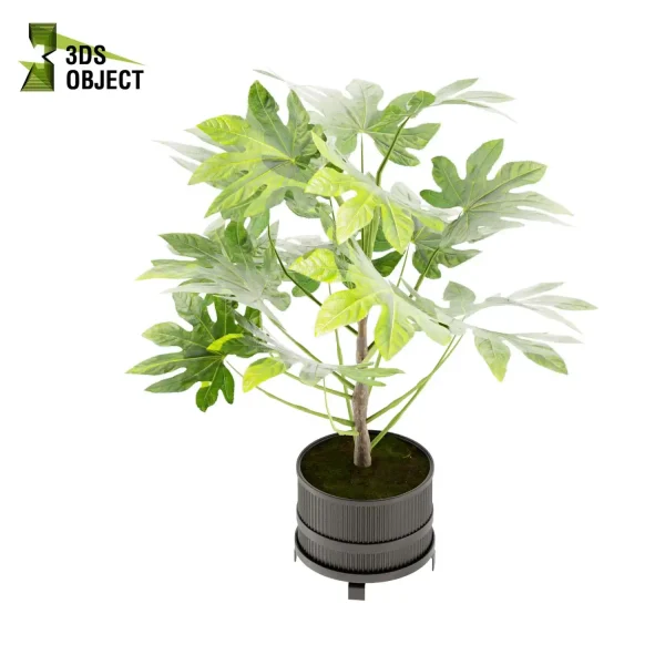 3d model plant pot free Fiddle croton bird of paradise banana architecturesimulation interiordesign cinema 4d 3ds max blender enscpae