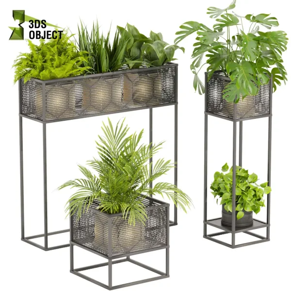 3d model plant free Vegetation tree box Foliage Palm fern bird of paradise grass monstera pothos low poly Nature Simulation Plant Modeling Software 3D Garden Design Forest Simulation 3D Tree Generator Landscape Design Software deliciosa Swiss cheese cinema 4d 3ds max blender enscape fbx obj Rhino Sketchup lumion