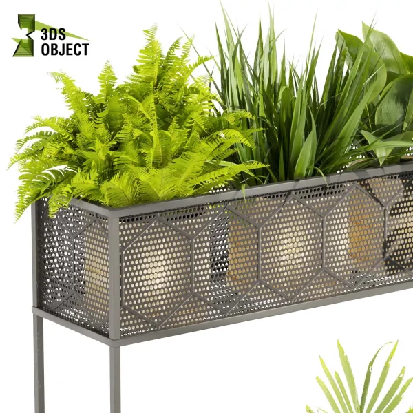 3d model plant free Vegetation tree box Foliage Palm fern bird of paradise grass monstera pothos low poly Nature Simulation Plant Modeling Software 3D Garden Design Forest Simulation 3D Tree Generator Landscape Design Software deliciosa Swiss cheese cinema 4d 3ds max blender enscape fbx obj Rhino Sketchup lumion