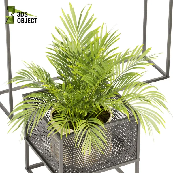 3d model plant free Vegetation tree box Foliage Palm fern bird of paradise grass monstera pothos low poly Nature Simulation Plant Modeling Software 3D Garden Design Forest Simulation 3D Tree Generator Landscape Design Software deliciosa Swiss cheese cinema 4d 3ds max blender enscape fbx obj Rhino Sketchup lumion