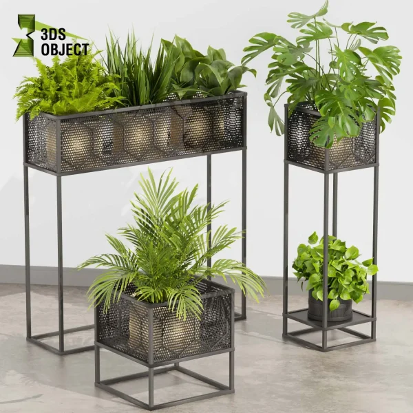 3d model plant free Vegetation tree box Foliage Palm fern bird of paradise grass monstera pothos low poly Nature Simulation Plant Modeling Software 3D Garden Design Forest Simulation 3D Tree Generator Landscape Design Software deliciosa Swiss cheese cinema 4d 3ds max blender enscape fbx obj Rhino Sketchup lumion