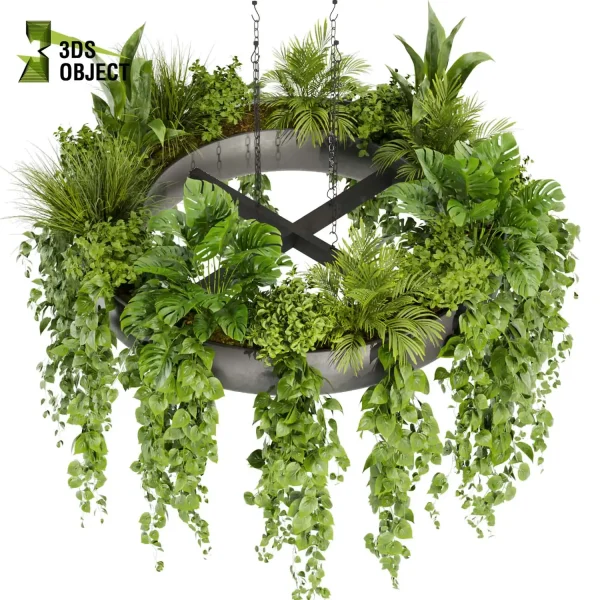3d model plant hanging free Botanical Models monstera grass pothos palm bush hanging 3D Garden Assets architecture interior design cinema 4d 3ds max blender fbx obj Rhino Sketchup lumion buy purchase