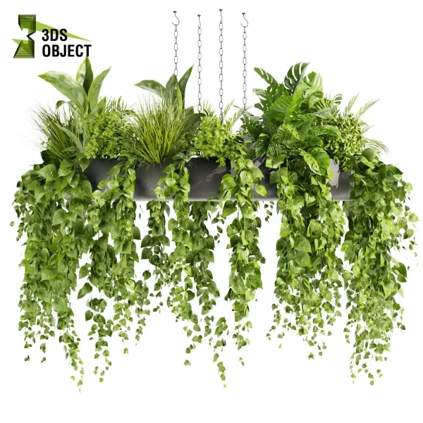 3d model plant hanging free Botanical Models monstera grass pothos palm bush hanging 3D Garden Assets architecture interior design cinema 4d 3ds max blender fbx obj Rhino Sketchup lumion buy purchase