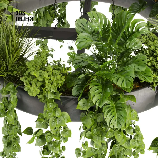 3d model plant hanging free Botanical Models monstera grass pothos palm bush hanging 3D Garden Assets architecture interior design cinema 4d 3ds max blender fbx obj Rhino Sketchup lumion buy purchase