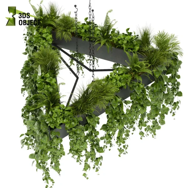 3d model plant hanging free Botanical Models fern pothos grass palm purchase cinema 4d 3ds max blender fbx obj Rhino Sketchup lumion Vegetation
