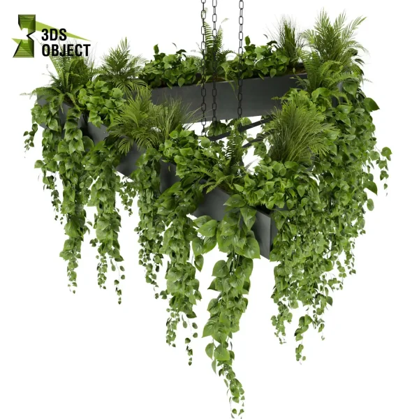 3d model plant hanging free Botanical Models fern pothos grass palm purchase cinema 4d 3ds max blender fbx obj Rhino Sketchup lumion Vegetation