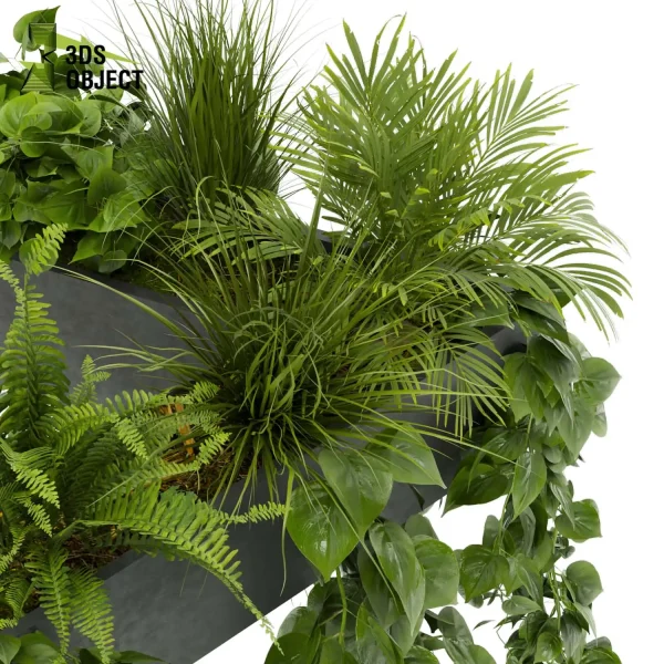 3d model plant hanging free Botanical Models fern pothos grass palm purchase cinema 4d 3ds max blender fbx obj Rhino Sketchup lumion Vegetation