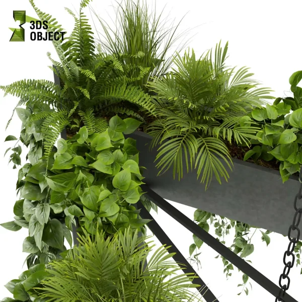 3d model plant hanging free Botanical Models fern pothos grass palm purchase cinema 4d 3ds max blender fbx obj Rhino Sketchup lumion Vegetation