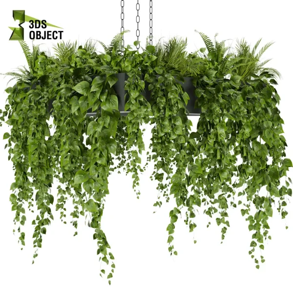 3d model plant hanging free Botanical Models fern pothos grass palm purchase cinema 4d 3ds max blender fbx obj Rhino Sketchup lumion Vegetation