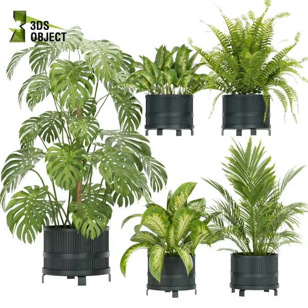 3d model plant pot free Aglaonema palm fern monstera balcony designsimulation architecture visualization buy