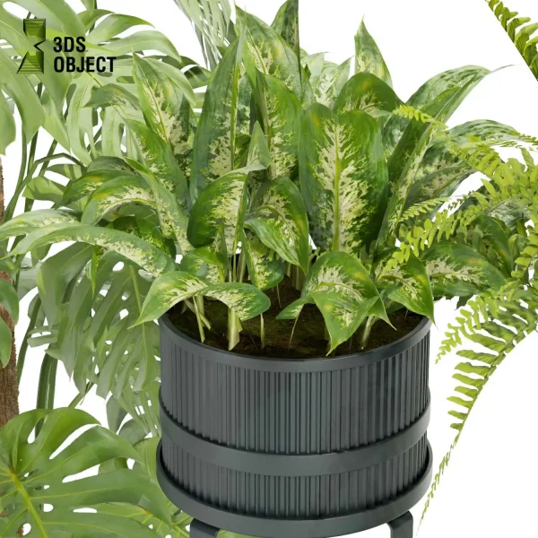 3d model plant pot free Aglaonema palm fern monstera balcony designsimulation architecture visualization buy