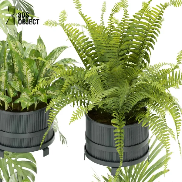 3d model plant pot free Aglaonema palm fern monstera balcony designsimulation architecture visualization buy