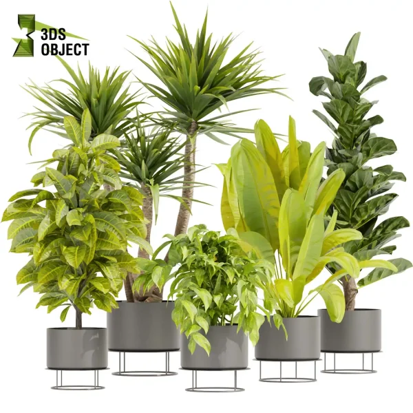 3d model plant pot free Banana croton fiddle pothos dracena purchase 3Dmodeling landscape visualization
