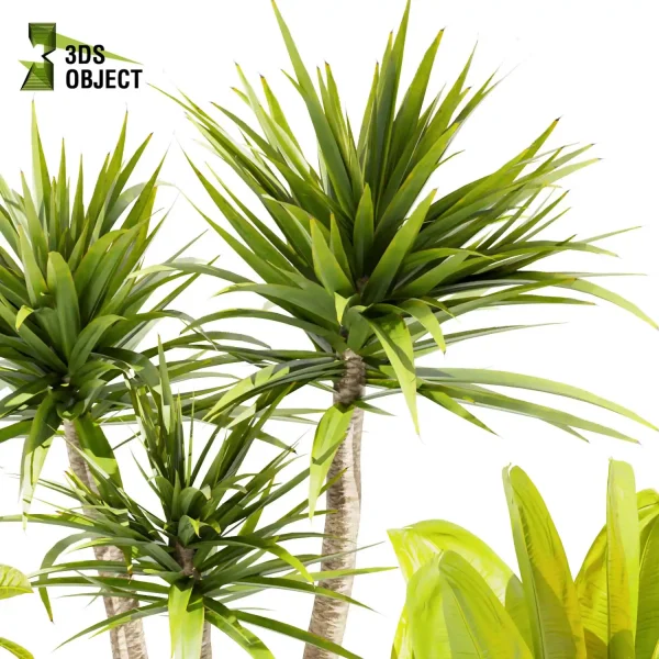 3d model plant pot free Banana croton fiddle pothos dracena purchase 3Dmodeling landscape visualization