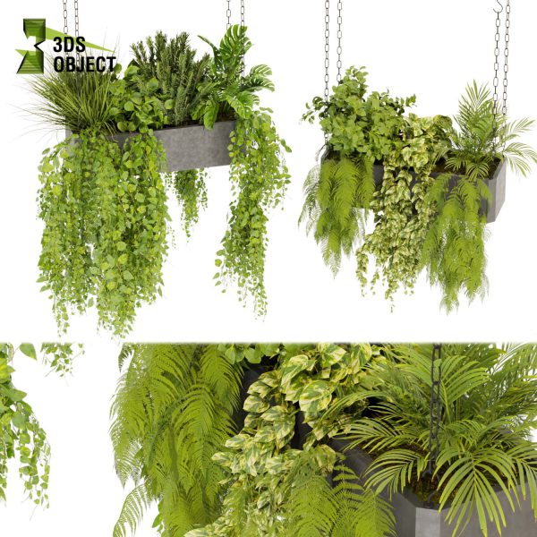 3d model plant hanging free Botanical Models monstera rosemary fern pothos grass ampelous cinema 4d 3ds max blender enscape fbx obj Rhino Sketchup lumion Greenery Assets Flora Objects purchase