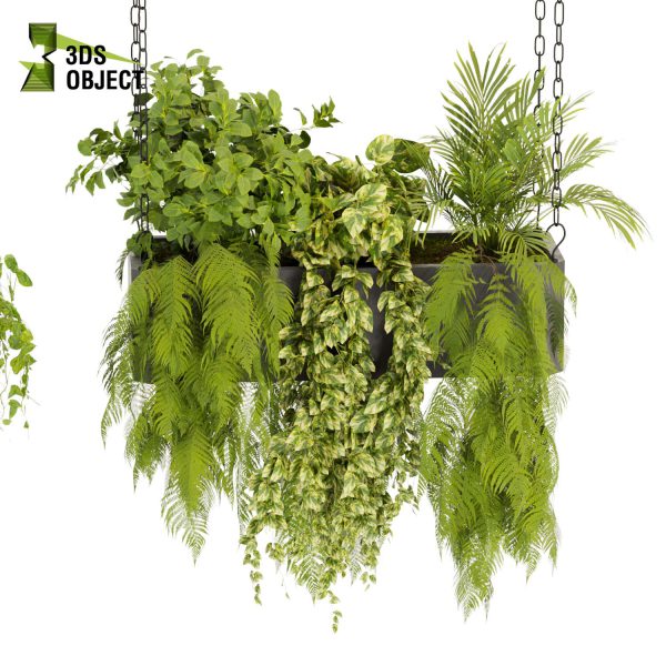 3d model plant hanging free Botanical Models monstera rosemary fern pothos grass ampelous cinema 4d 3ds max blender enscape fbx obj Rhino Sketchup lumion Greenery Assets Flora Objects purchase