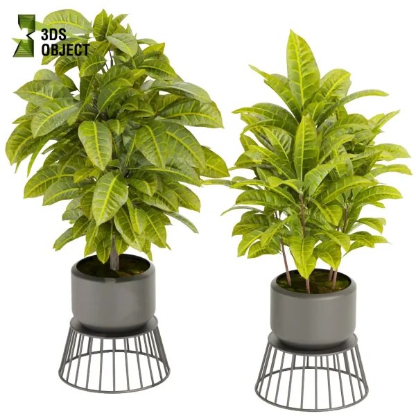 3d model plant pot free Croton crotonoideae buy simulator 3dvisualization architectural enscpae