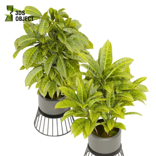 3d model plant pot free Croton crotonoideae buy simulator 3dvisualization architectural enscpae