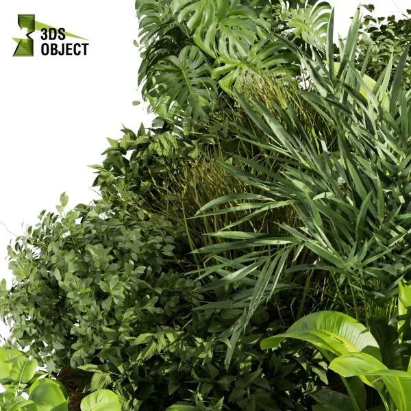 3d garden plant models botanical Visualization Landscape Foliage Vegetation Rendering Environment tree Design high poly Bush monstera banana palm pothos grass cinema 4d 3ds max blender enscpae fbx obj Rhino Sketchup lumion garden buy garden purchase