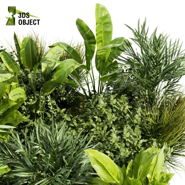 3d garden plant models botanical Visualization Landscape Foliage Vegetation Rendering Environment tree Design high poly Bush monstera banana palm pothos grass cinema 4d 3ds max blender enscpae fbx obj Rhino Sketchup lumion garden buy garden purchase