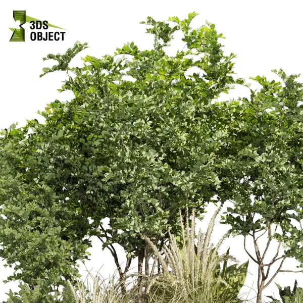 3d garden plant models botanical Visualization Landscape Foliage Vegetation Rendering Environment tree Design high poly Bush tree pampas fern flower banana 3D Plant Creation Virtual Garden Design Botanical Simulation Plant Visualization Vegetation Modeling cinema 4d 3ds max blender enscpae fbx obj Rhino Sketchup lumion