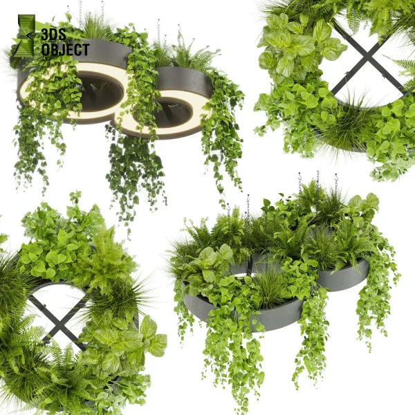 3d model plant hanging free Botanical Models fern fiddle pothos grass cinema 4d 3ds max blender fbx obj Rhino Sketchup lumion purchase