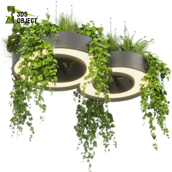 3d model plant hanging free Botanical Models fern fiddle pothos grass cinema 4d 3ds max blender fbx obj Rhino Sketchup lumion purchase
