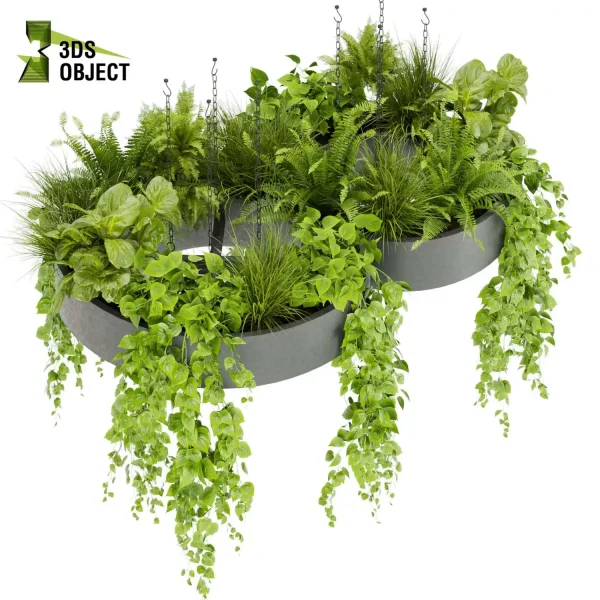 3d model plant hanging free Botanical Models fern fiddle pothos grass cinema 4d 3ds max blender fbx obj Rhino Sketchup lumion purchase