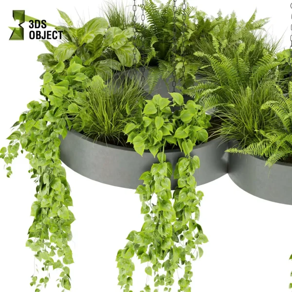 3d model plant hanging free Botanical Models fern fiddle pothos grass cinema 4d 3ds max blender fbx obj Rhino Sketchup lumion purchase