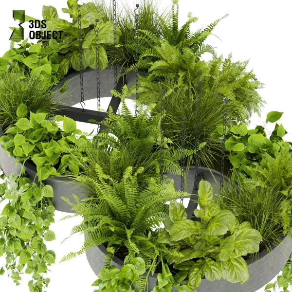 3d model plant hanging free Botanical Models fern fiddle pothos grass cinema 4d 3ds max blender fbx obj Rhino Sketchup lumion purchase