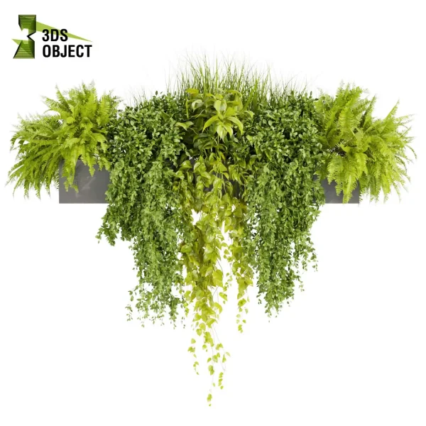 3d model plant free Vegetation tree box Foliage Pothos fern bush grass ivy balcony planter pot greenhouse Greenery Generator Botanical Rendering Nature Simulation Plant Modeling Software 3D Garden Design cinema 4d 3ds max blender enscape fbx obj Rhino Sketchup lumion