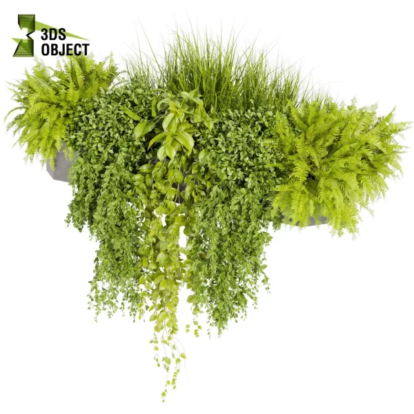 3d model plant free Vegetation tree box Foliage Pothos fern bush grass ivy balcony planter pot greenhouse Greenery Generator Botanical Rendering Nature Simulation Plant Modeling Software 3D Garden Design cinema 4d 3ds max blender enscape fbx obj Rhino Sketchup lumion