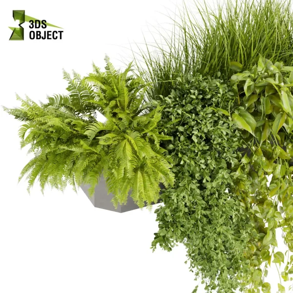 3d model plant free Vegetation tree box Foliage Pothos fern bush grass ivy balcony planter pot greenhouse Greenery Generator Botanical Rendering Nature Simulation Plant Modeling Software 3D Garden Design cinema 4d 3ds max blender enscape fbx obj Rhino Sketchup lumion