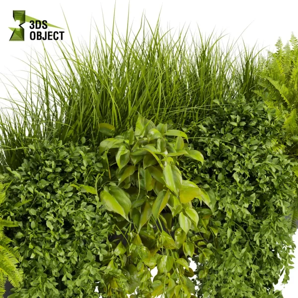 3d model plant free Vegetation tree box Foliage Pothos fern bush grass ivy balcony planter pot greenhouse Greenery Generator Botanical Rendering Nature Simulation Plant Modeling Software 3D Garden Design cinema 4d 3ds max blender enscape fbx obj Rhino Sketchup lumion