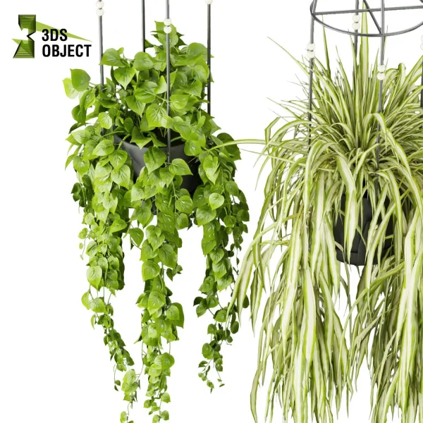 3d model plant hanging free Botanical Models Pothos fern grass low poly purchase Design Software botanical architecture simulator cinema 4d 3ds max blender enscape fbx obj Rhino Sketchup lumion