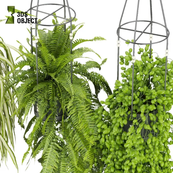 3d model plant hanging free Botanical Models Pothos fern grass low poly purchase Design Software botanical architecture simulator cinema 4d 3ds max blender enscape fbx obj Rhino Sketchup lumion