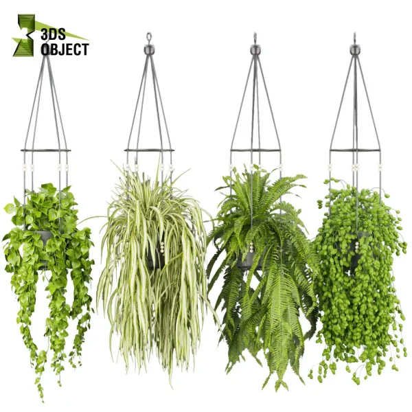 3d model plant hanging free Botanical Models Pothos fern grass low poly purchase Design Software botanical architecture simulator cinema 4d 3ds max blender enscape fbx obj Rhino Sketchup lumion
