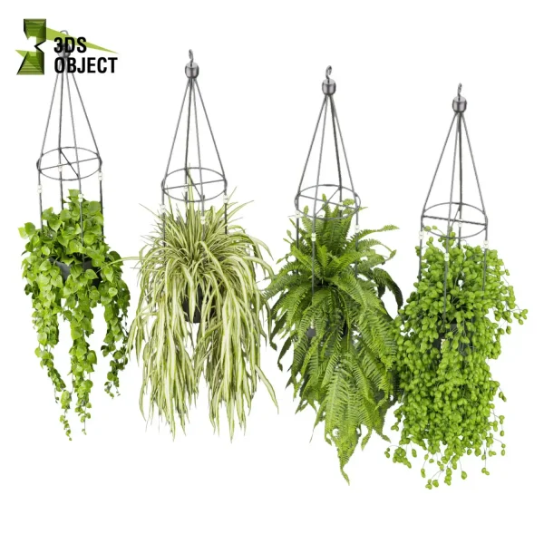 3d model plant hanging free Botanical Models Pothos fern grass low poly purchase Design Software botanical architecture simulator cinema 4d 3ds max blender enscape fbx obj Rhino Sketchup lumion