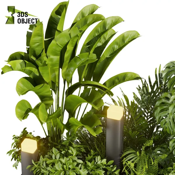 3d garden plant models botanical Visualization Landscape Foliage Vegetation Rendering Environment tree Design high poly Bush monstera banana fern palm grass inema 4d 3ds max blender enscpae fbx obj Rhino Sketchup lumion garden buy garden purchase